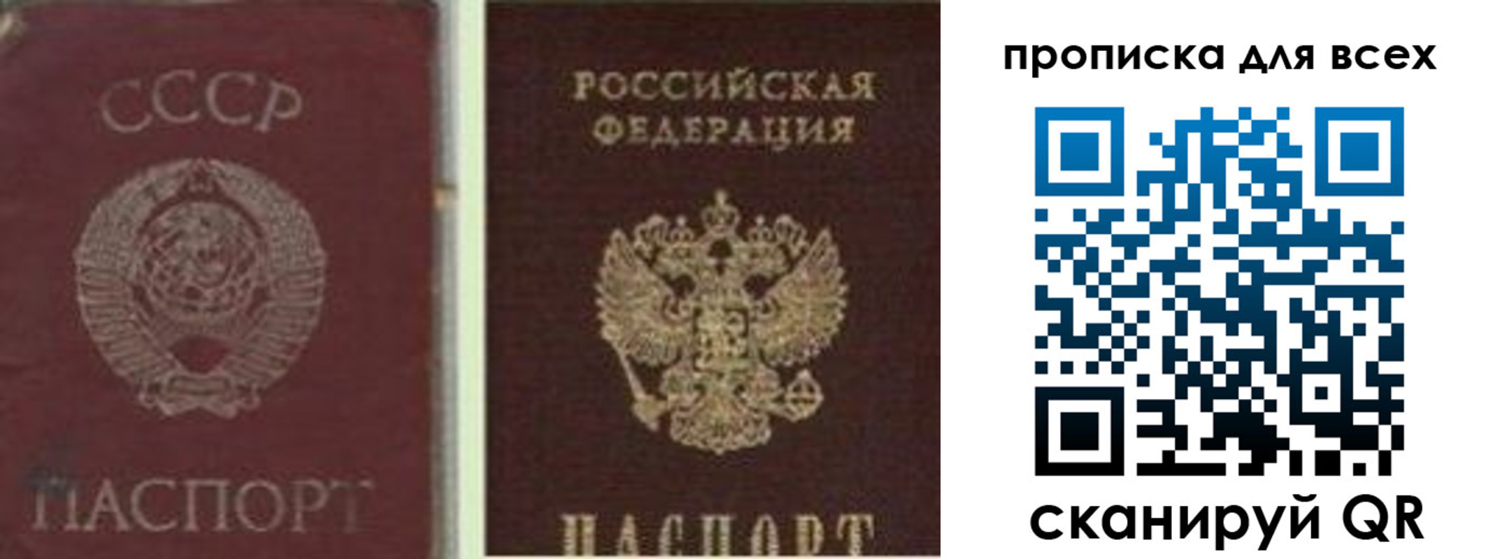 временная прописка в Дальнегорске